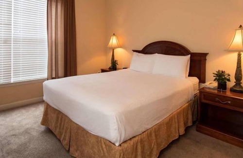 Four Corners Apartment | Everything You Need For The Perfect Vacation! Free Parking, Pets Allowed, Pool