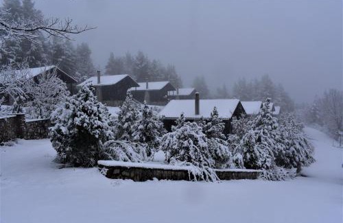 Chalkidiki Region Resort | EVIA FOREST VILLAGE