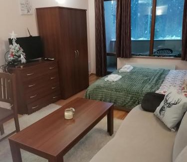 Pamporovo Apartment | Evrika home 21