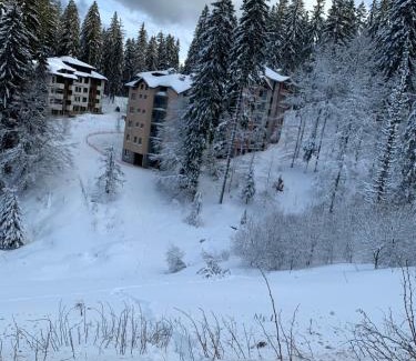 Pamporovo Apartment | Evrika home 21