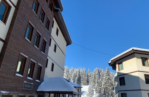 Pamporovo Apartment | Evrika home 21