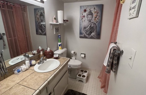 Southfield Condo | ExactlyWhere you need to be! Shabby Chic Swanky Bachelorette Pad