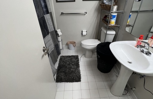 Southfield Condo | ExactlyWhere you need to be! Shabby Chic Swanky Bachelorette Pad
