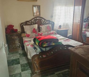 As-Sajil Apartment | Excellent Studio One Bed Room Overlooking the Nile