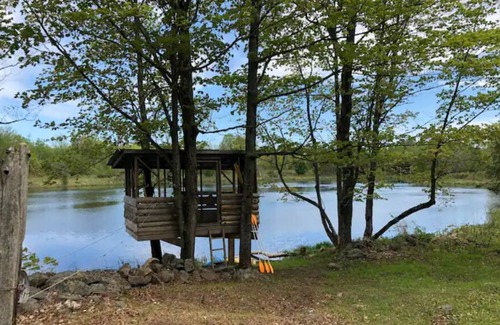 Maberly Cabin | Exceptional Log Cabin - 3Bdrms + Full Kitchen