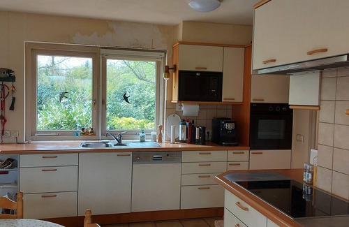 Budel-Dorplein House | EXCEPTIONAL summer and winter: 15,000 M2 property on the edge of a green zone