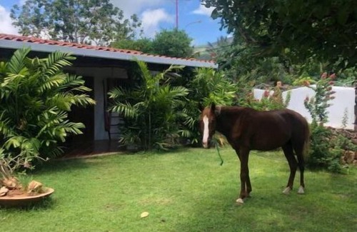 Margarita Island House | Exclusiva Casa de 5 cuartos cerca de playa Parguito