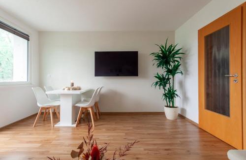 Gross Buchholz Apartment | Exclusive 2-Room-City-Apartment - Contactless Check-in
