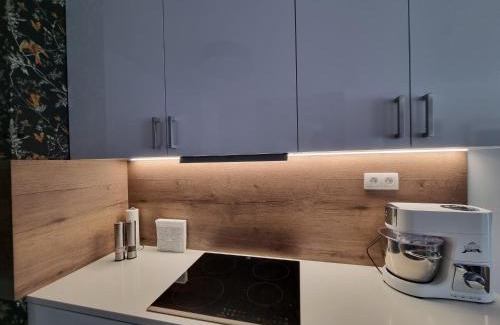Bratislava Apartment | Exclusive apartment - FREE PARKING