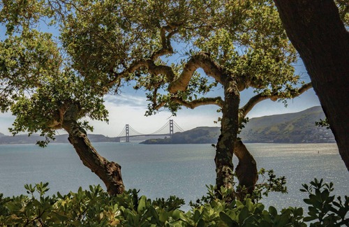 Belvedere Tiburon House | Exclusive Belvedere Escape w/ pool & stunning ocean views