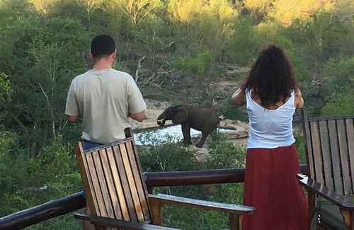 Hoedspruit Villa | Exclusive Bush Villa Inside the Greater Kruger National Park, home of the Big 5