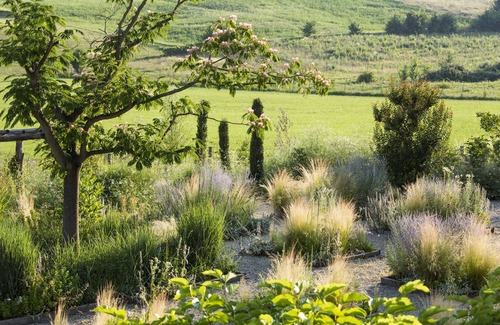 Rosignano Monferrato House | Exclusive farmhouse for 13 people with charm and private pool