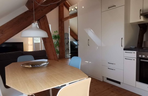 Klettgau Apartment | Exclusive penthouse apartment - Directly on the border to Switzerland/30 min. Zurich