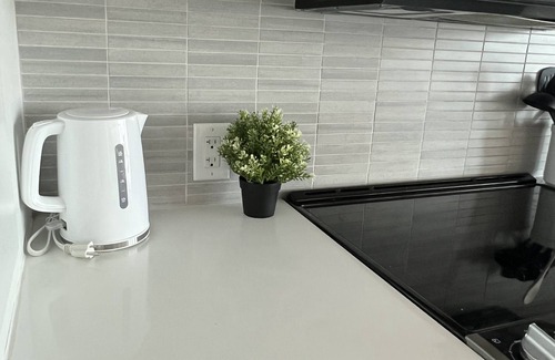 Downtown Winnipeg Apartment | Executive 2 bed Condo King bed great LOCATION downtown with laundry