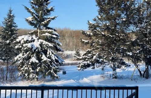 North Bay Apartment | Executive apartment w/free parking & WiFi