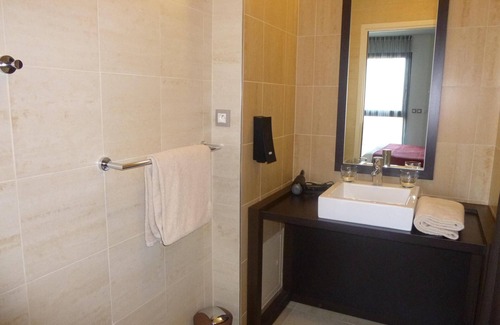 Belleville-sur-Loire Hotel | EXECUTIVE room garden side
