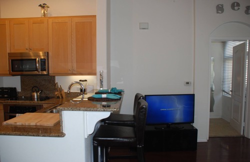 North Park Condo | *Executive Furnished Loft Condo in North Park*
