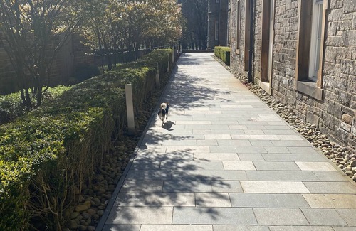 Laurieston Apartment | Executive Level Quartermile two Bedroom Apartment - Extremely Central