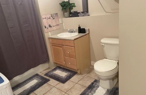 Antigonish Apartment | Executive one bedroom apartment including pull out sofa bed