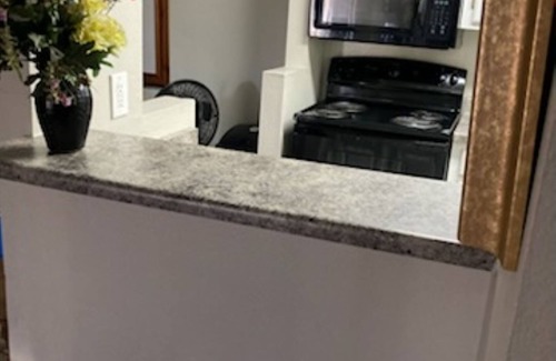 Oasis Neighborhood Condo | Executive one bedroom, close to all fun, food and drink. Great location!