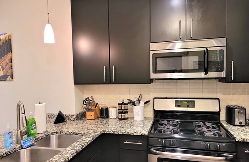 Evanston Apartment | Executively Appointed Condo, w/resort amenities, IND GAR, Pool, Gym+ Biz Lounge