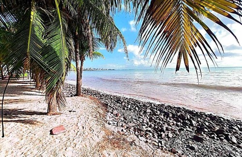 Tambau Apartment | Exotic vacation in northeastern Brazil: João Pessoa