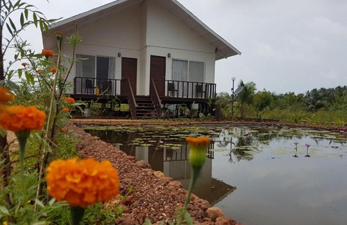 Mhsala Bed & Breakfast | Exotica Beach Retreats Diveagar