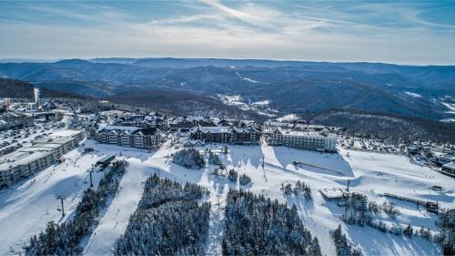 Snowshoe Apartment | Expedition Station Trail Resort Ski-in-Ski-out