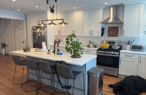 East Allegheny House | Experience a Historic, Modern & Luxurious Home! Prime Location in Northside!
