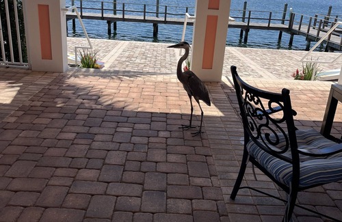 Coquina Key Condo | Experience Bay Views Stunning Sunsets, Dolphin sightings from your Private patio