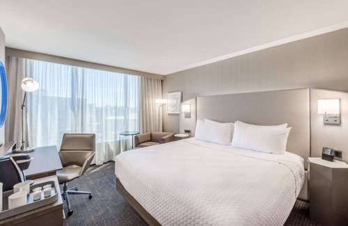 Downtown Denver Hotel | Experience Denver's Best! Enjoy Outdoor Swimming Pool, Pet-friendly Property!