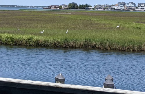 North Ocean City Condo | Experience Ocean City like never before at Sea Grass #5!