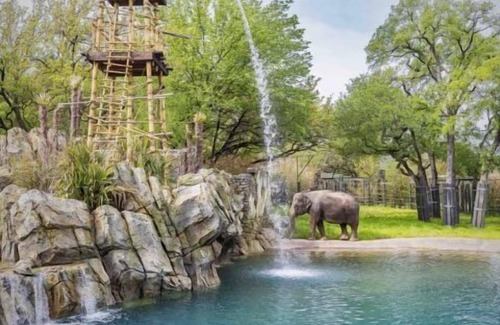 Fort Worth House | Experience Soothing Moments & Luxury! 4 Family-friendly Units, Indoor Pool!