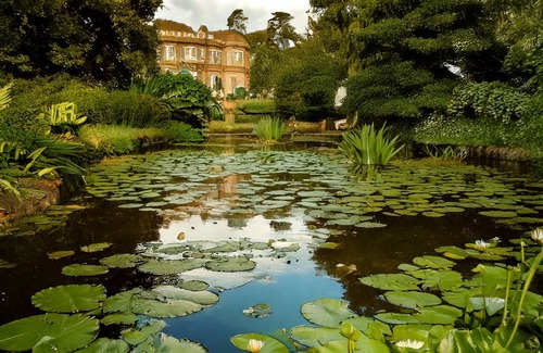 New Forest District Other | Experience the epitome of English elegance at English Countryside Estate.