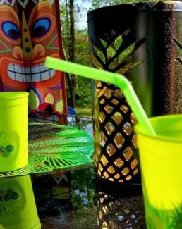 Stroudsburg House | Experience The Serenity Of Pineapple Acre Pocono