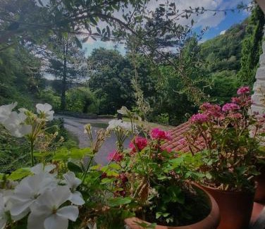 Cruz Chica House | Experiencia de casa en la montaña