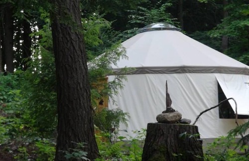Lake of Bays Cabin | Explore an Off-Grid Waterfront Yurt Getaway on 11 Private Acres!