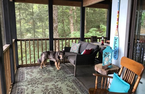 Lake of Bays Cabin | Explore an Off-Grid Waterfront Yurt Getaway on 11 Private Acres!