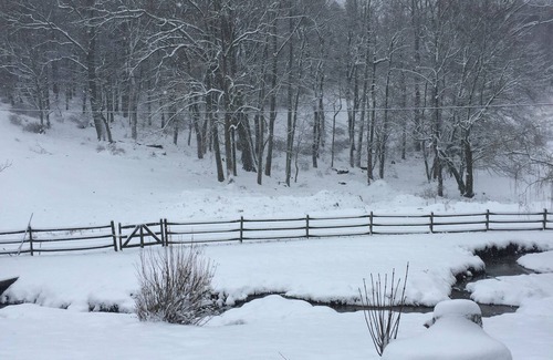 Sparta Cottage | Explore and Renew in Blue Ridge Cottage on Our Wee Glen