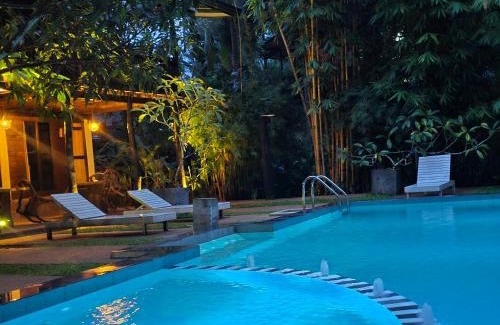 Kotapola Hotel | Explore Sinharaja Rain Forest Tour Camp