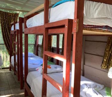 Belen Other | Explorer Iquitos