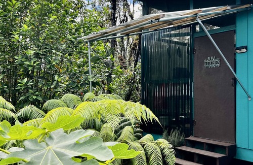 Eden Roc Cabin | Explorers Hale Near Worlds Most Active Volcano!