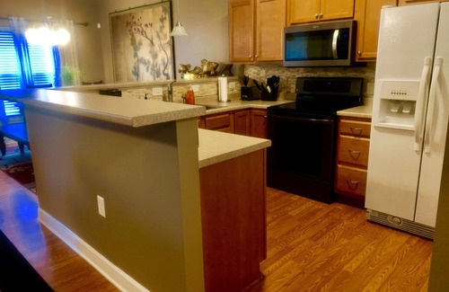 Greenville Condo | Exquisite 2BR Luxurious Suite Great location in Greenville