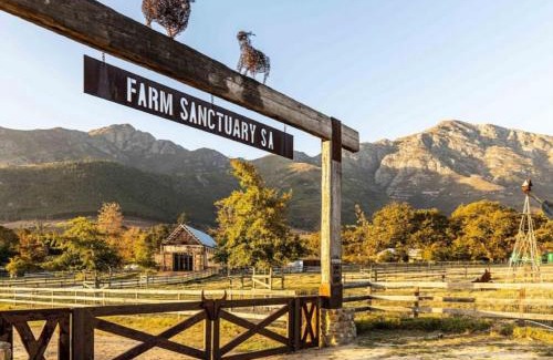 Franschhoek House | Extraordinary Barn Loft at Animal Sanctuary