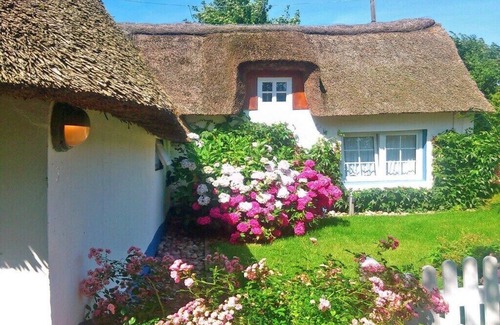 Goting House | Föhrer Friesenkate West