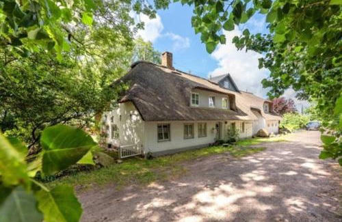 Borgsum Apartment | Föhrzeit Wohnung 3 Kuschelig unter Reet mit Garten
