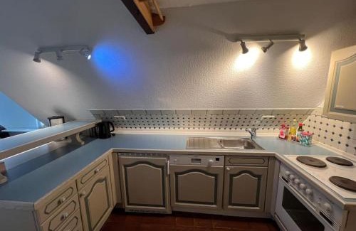 Borgsum Apartment | Föhrzeit Wohnung 3 Kuschelig unter Reet mit Garten