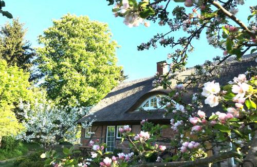 Garz/Rugen Apartment | F-1081 Ferienwohnung Pfarrhof in Garz