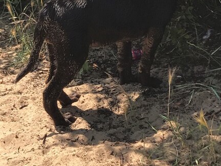 Mablethorpe Villa | F17 mablethorpe chalet park