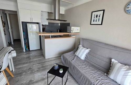 La Jetee Apartment | F2 BEAUTIFUL VIEW PORT AND SEA, 20 METERS BEACH